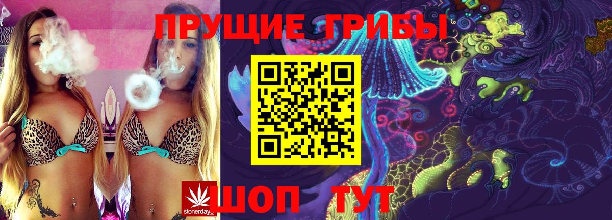 Владимир  Галлюциногенные грибы Psilocybe  Галлюциногенные грибы MAGIC MUSHROOMS  Вход с VPN 