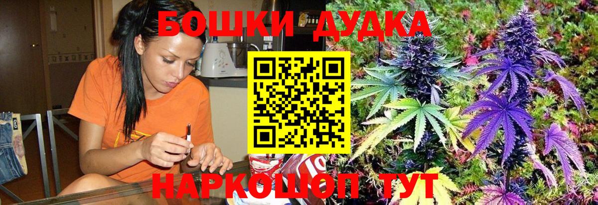 Бошки Шишки ГИДРОПОН Владимир